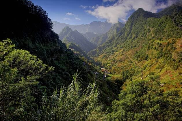Bergdorf Ribeiro Frio, Madeira, Ribeiro Frio mountain village Ribeiro Frio, Madeira, Ribeiro Frio BLWS436112 Copyright: xblickwinkel McPHOTO S.xWolf-Feixx