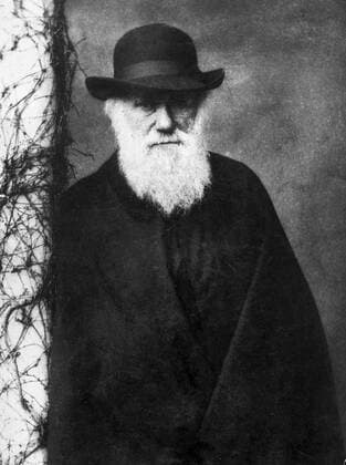 Photographic portrait of Charles Darwin (1809-1882) English naturalist and geologist. Photographed by Julia Margaret Cameron (1815-1879) British photographer. Dated 1870 WHA  !ACHTUNG AUFNAHMEDATUM GESCHÄTZT! Copyright: WHA UnitedArchivesWHA_068_0033