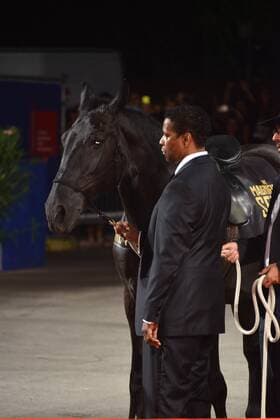 73rd Venice Film Festival, Red Carpet film The Magnificent Seven . Pictured: Denzel Washington  Copyright: xSimonexComi Veneziax2016x o0 Tier kurios Pferd