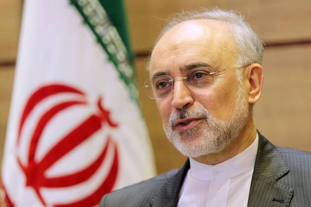 Iranian nuclear chief denies secret deal with West Ali Akbar Salehi, the head of the Atomic Energy Organization of Iran, gives an exclusive interview to Kyodo News on Sept. 11, 2016. Iran did not make a secret deal alongside its landmark accord with western powers on its nuclear program and remarks suggesting it had have been wrongly interpreted due to a lack of knowledge, Salehi said. 