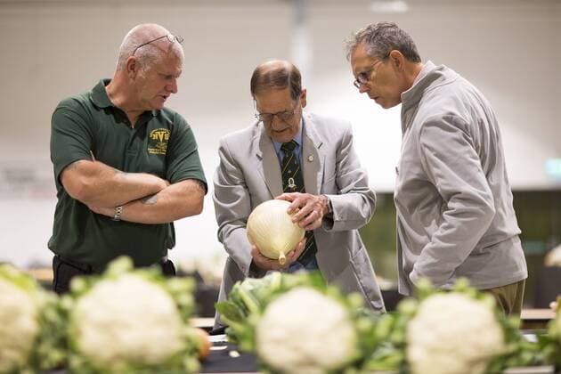 September 16, 2016 - Harrogate, Yorkshire, UK - Harrogate UK. Judging has begun this morning in the Giant vegetable competition that see s competitors from across the UK show their biggest Carrot s, Cucumbers, Cabbages, Onion s & Tomatoes competing for the title of heaviest & longest at the Harrogate Autumn Flower Show. Harrogate UK  - ZUMAl94_