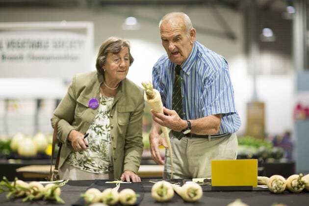 September 16, 2016 - Harrogate, Yorkshire, UK - Harrogate UK. Judging has begun this morning in the Giant vegetable competition that see s competitors from across the UK show their biggest Carrot s, Cucumbers, Cabbages, Onion s & Tomatoes competing for the title of heaviest & longest at the Harrogate Autumn Flower Show. Harrogate UK  - ZUMAl94_