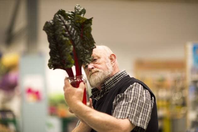 September 16, 2016 - Harrogate, Yorkshire, UK - Harrogate UK. Judging has begun this morning in the Giant vegetable competition that see s competitors from across the UK show their biggest Carrot s, Cucumbers, Cabbages, Onion s & Tomatoes competing for the title of heaviest & longest at the Harrogate Autumn Flower Show. Harrogate UK  - ZUMAl94_