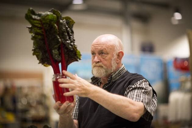 September 16, 2016 - Harrogate, Yorkshire, UK - Harrogate UK. Judging has begun this morning in the Giant vegetable competition that see s competitors from across the UK show their biggest Carrot s, Cucumbers, Cabbages, Onion s & Tomatoes competing for the title of heaviest & longest at the Harrogate Autumn Flower Show. Harrogate UK  - ZUMAl94_