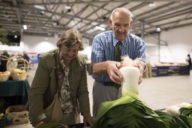 September 16, 2016 - Harrogate, Yorkshire, UK - Harrogate UK. Judging has begun this morning in the Giant vegetable competition that see s competitors from across the UK show their biggest Carrot s, Cucumbers, Cabbages, Onion s & Tomatoes competing for the title of heaviest & longest at the Harrogate Autumn Flower Show. Harrogate UK  - ZUMAl94_