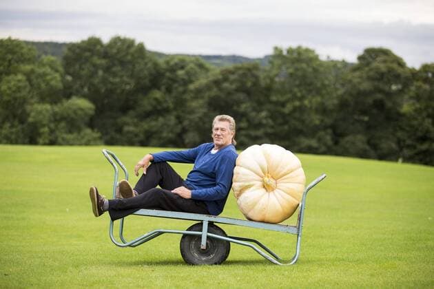 September 16, 2016 - Harrogate, Yorkshire, UK - Harrogate UK. Picture shows Brian Marshall & his prize winning Pumpkin that weighed 139.5 KG at the Giant vegetable competition in Harrogate. The competition see s competitors from across the UK show their biggest Carrot s, Cucumbers, Cabbages, Onion s & Tomatoes competing for the title of heaviest & longest at the Harrogate Autumn Flower Show. Harrogate UK  - ZUMAl94_