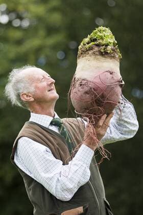 September 16, 2016 - Harrogate, Yorkshire, UK - Harrogate UK. Picture shows Peter Glazebrook & his prize winning beetroot that weighed 11.5 kg at the Giant vegetable competition in Harrogate. The competition see s competitors from across the UK show their biggest Carrot s, Cucumbers, Cabbages, Onion s & Tomatoes competing for the title of heaviest & longest at the Harrogate Autumn Flower Show. Harrogate UK  - ZUMAl94_