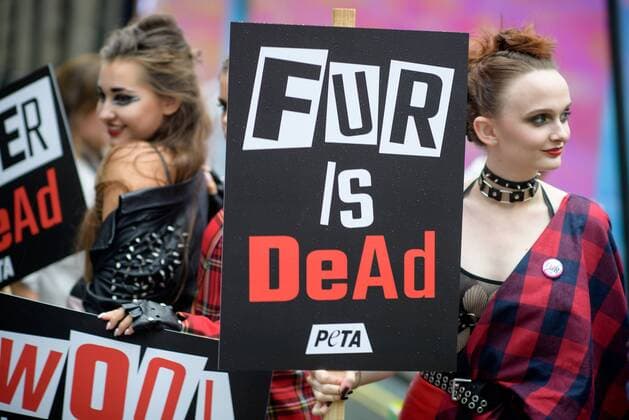 United Kingdom: Fur protesters hit London Fashion Week Anti-fur militants staged a protest against its use at opening of London Fashion Week Spring Summer 2017 and are threatening further demonstrations. Their actions come after the industry body predicted that as many as 80 per cent of the catwalk shows at London Fashion Week, including Burberry and JW Anderson, contain items using fur. FOR EDITORIAL USE ONLY.Pacific Press Agency  HughxPeterswald