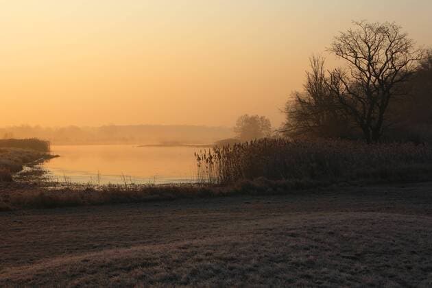 Morgenstimmung im Auenwald, Biosphärenreservat Mittlere Elbe, Dessau-Rosslau, Sachsen-Anhalt, Deutschland, Europa Copyright: imageBROKER VolkerxLautenbach iblmmv04376689.jpg
