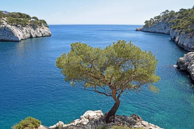 Calanque de Port Pin, Nationalpark Calanques, Provence, Frankreich, Europa Copyright: imageBROKER UwexKazmaier ibxkaz04379045.jpg