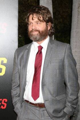 LOS ANGELES - OCT 8: Zach Galifianakis at the Keeping Up with the Joneses Red Carpet Event at the Twentieth Century Fox on October 8, 2016 in Los Angeles, CA  Copyright: xKathyxHutchinsx