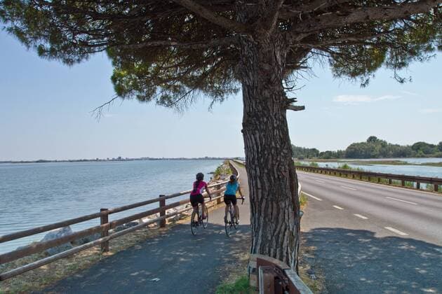 Rennradfahrer an der Lagune von Grado auf dem Alpe Adria-Weg Grado Nord-Italien Italien Alpe-Adria-Weg
