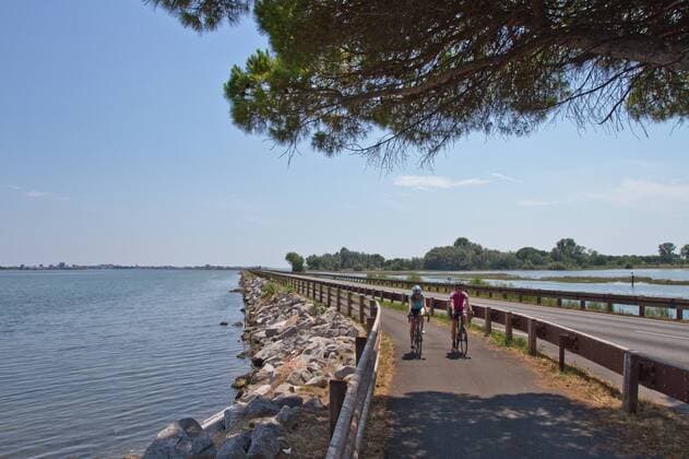 Rennradfahrer an der Lagune von Grado auf dem Alpe Adria-Weg Grado Nord-Italien Italien Alpe-Adria-Weg
