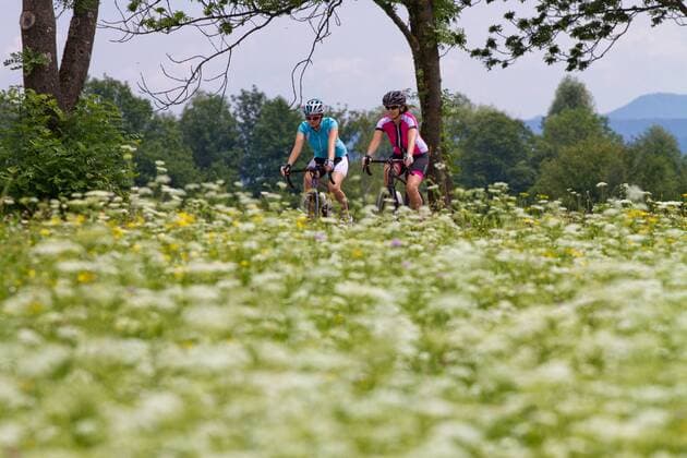Rennradfahrer vor einer Blumenwiese zwischen Villach und Venzone Kärnten Österreich Alpe-Adria-Weg