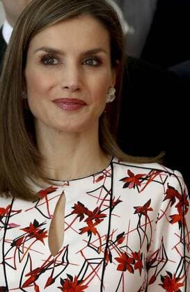 Spain s Queen Letizia poses during the audience granted to the laureates of Asturias Medals 2016 and the winners of the End of University Course 2015 of Oviedo University in Oviedo, Asturias region, northern Spain, 21 October 2016. The named audience was held in the frame of the 36th Princess of Asturias Awards, whose awarding ceremony will be held later on the day. EVENT IN THE FRAME OF PRINCESS OF ASTURIAS AWARDS !ACHTUNG: NUR REDAKTIONELLE NUTZUNG!  20161021-636126497486810984