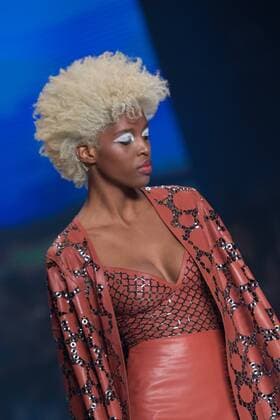 October 24, 2016 - Sao Paulo, Brazil - Model presents creation by Patricia Viera, during the Sao Paulo Fashion Week, winter 2017 edition, this Monday, in Sao Paulo, Brazil. Sao Paulo Brazil - ZUMAl146 20161024_zaf_l146_071