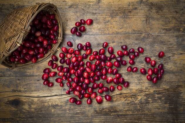 Cranberries in basket  LVF05366