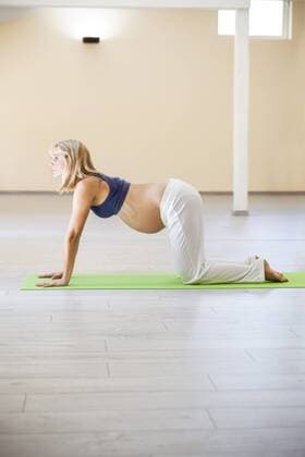 Prenatal yoga, woman doing cow asana model released Symbolfoto property released  ZEDF00333