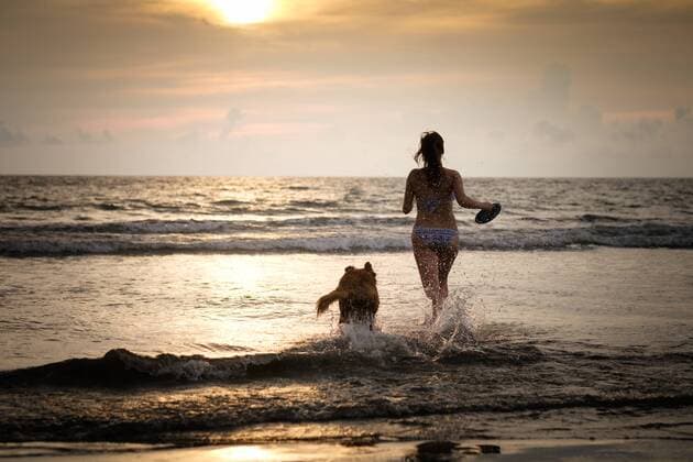 Mexico, Nayarit, Young woman in bikini playing frisbee with her Golden Retriever dog at the beach, running into the ocean model released Symbolfoto property released  ABAF02085
