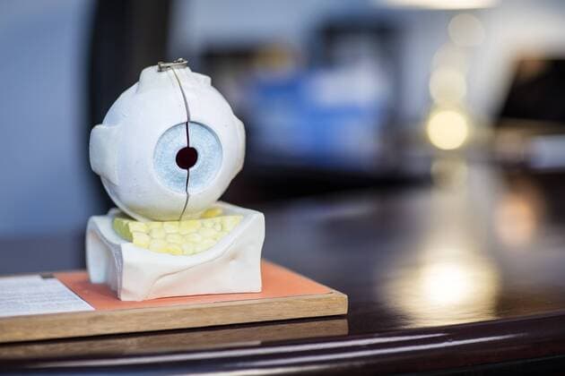Mode of an eyeball property released  ZEF10574