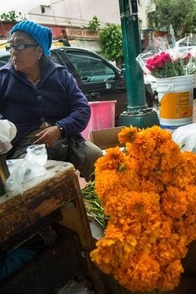 October 27, 2016 - Mexico City, Mexico City, MX - Mexicans prepare for the traditional Day of the Dead festival, when families honour and pray for dead loved ones. At the Escandon market in Mexico City, people buy flowers, costumes and festive sugar skulls to use for traditional decorations. Mexico City MX - ZUMAa136 20161027_zap_a136_003