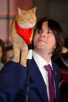 . 03 11 2016. London, United Kingdom. Bob and James Bowen attend the World Premiere of A Street Cat Named Bob.  xChrisxJosephx xi-Imagesx IIM-13750-0019