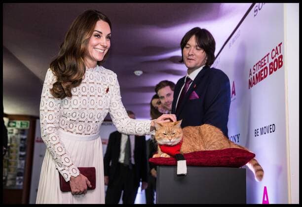 Bilder des Tages . 03 11 2016. London, United Kingdom. The Duchess of Cambridge arriving at A Street Cat Named Bob premiere in London. The Duchess of Cambridge greets Bob the cat the star of the new film A street cat named Bob in aid of the charity Action on Addiction of which she is a patron. With Bob is his owner James Bowen whose story is depicted in the film. ÔA Street Cat Named BobÕ tells the true story of the unlikely friendship between a young homeless busker, James Bowen, and the stray ginger cat who changes his life. The charity Action on Addiction brings help, hope and freedom to those living with addiction and those living with people who suffer problems of addiction. It is the UKÕs only charity working across the addiction field in treatment, professional education to honours degree level, support for families and children, research, and campaigns.  xi-Imagesx xPoolx IIM-13748-0022