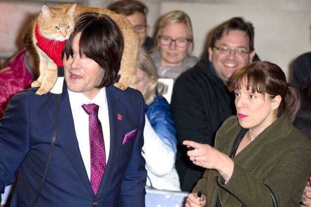British author James Bowen and his cat, Bob attending the premiere of A Street Cat Named Bob, in London. NOVEMBER 3rd 2016  MISx163440