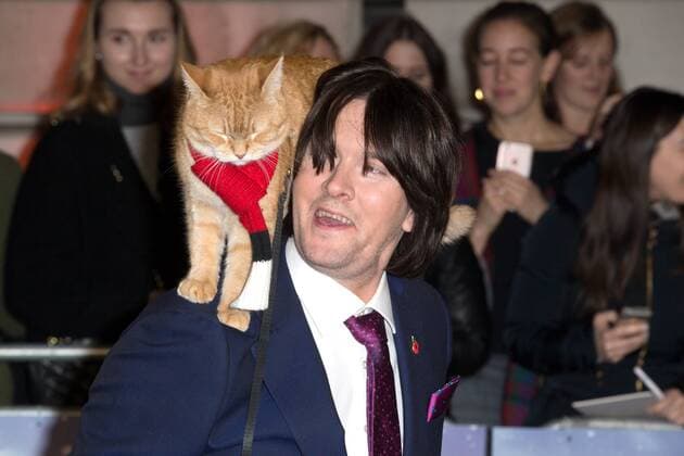 British author James Bowen and his cat, Bob attending the premiere of A Street Cat Named Bob, in London. NOVEMBER 3rd 2016  MISx163440