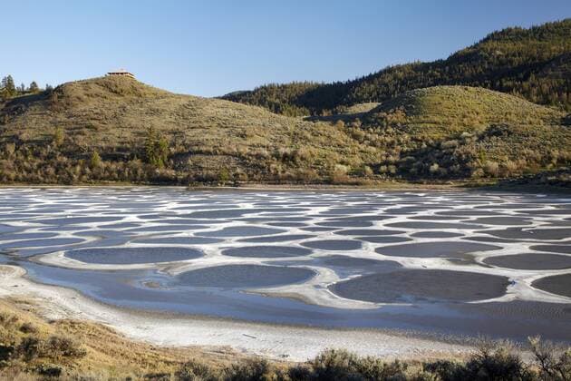 Spotted Lake, Osoyoos, British Columbia, Canada  Copyright: xDavidxWallxPhotographyx xDanitaxDelimont CN02 DWA0010