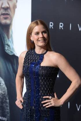 Cast member Amy Adams attends the premiere of the motion picture sci-fi thriller Arrival at the Regency Village Theatre in the Westwood section of Los Angeles on November 6, 2016. Storyline: When mysterious spacecraft touch down across the globe, an elite team - led by expert linguist Louise Banks (Amy Adams) - are brought together to investigate. As mankind teeters on the verge of global war, Banks and the team race against time for answers - and to find them, she will take a chance that could threaten her life, and quite possibly humanity.  LAP2016110606 JIMxRUYMEN