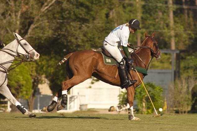 IMAGO Creative: Klub-Sport Texas, Houston. The Houston Polo Club.  Copyright: xMichaelxDeFreitasx xDanitaxDelimont US44 MDE0163