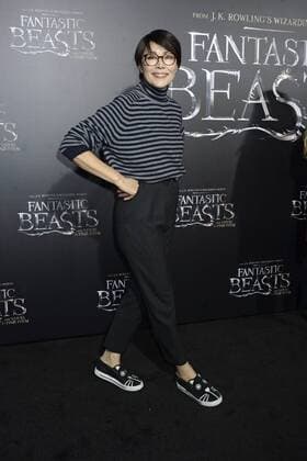 Ann Curry bei der Weltpremiere des Kinofilms Fantastic Beasts and Where to Find Them Phantastische Tierwesen und wo sie zu finden sind in derAlice Tully Hall im Lincoln Center. New York, 10.11.2016 Foto:xD.xVanxTinex xFuturexImage