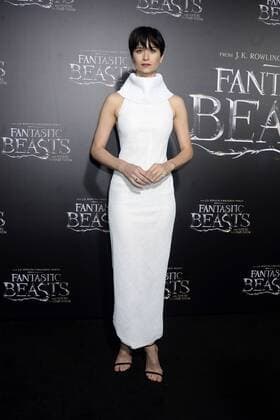 Katherine Waterston bei der Weltpremiere des Kinofilms Fantastic Beasts and Where to Find Them Phantastische Tierwesen und wo sie zu finden sind in derAlice Tully Hall im Lincoln Center. New York, 10.11.2016 Foto:xD.xVanxTinex xFuturexImage