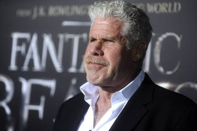 Ron Perlman bei der Weltpremiere des Kinofilms Fantastic Beasts and Where to Find Them Phantastische Tierwesen und wo sie zu finden sind in derAlice Tully Hall im Lincoln Center. New York, 10.11.2016 Foto:xD.xVanxTinex xFuturexImage