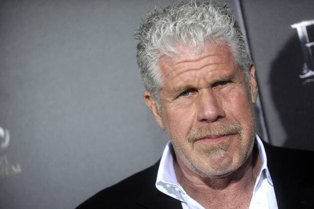 Ron Perlman bei der Weltpremiere des Kinofilms Fantastic Beasts and Where to Find Them Phantastische Tierwesen und wo sie zu finden sind in derAlice Tully Hall im Lincoln Center. New York, 10.11.2016 Foto:xD.xVanxTinex xFuturexImage