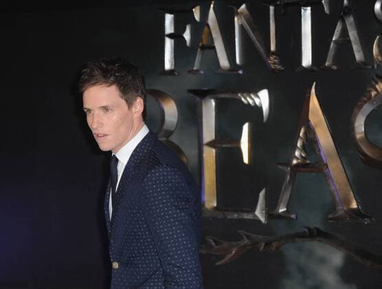 November 15, 2016 - London, England, United Kingdom - Eddie Redmayne attends the European premiere of Fantastic Beasts And Where To Find Them at Empire Leciester Square. London United Kingdom - ZUMAs147 20161115_zap_s147_022