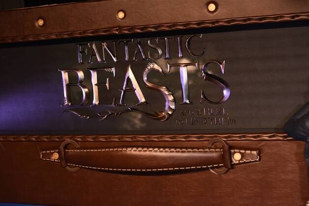 Fantastic Beasts And Where To Find Them London, UK Atmosphere at The European Premiere of Fantastic Beasts And Where To Find Them held at Odeon Leicester Square, London on Tues 15 November 2016 LMK392-62756-161116 