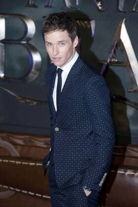 Eddie Redmayne bei der Europapremiere des Kinofilms Fantastic Beasts and Where to Find Them Phantastische Tierwesen und wo sie zu finden sind im Odeon Leicester Square. London, 15.11.2016 Foto:xJ.xSpicerx xFuturexImage