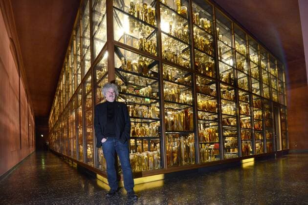 Berlin, 15.11.16âÄ¨âÄ¨Dr. Ferdinand Damaschun Naturkundemuseum Berlin Invalidenstraße 43, 10115 BerlinâÄ¨âÄ¨