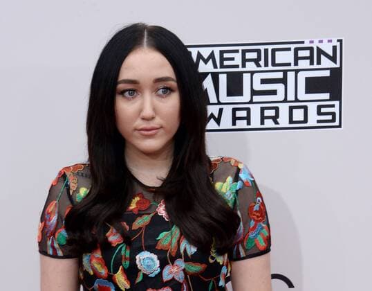 Actress Noah Cyrus arrives for the 2016 American Music Awards held at Microsoft Theater in Los Angeles on November 20, 2016.  LAP20161120118 JIMxRUYMEN