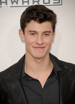 Shawn Mendes AMERICAN MUSIC AWARDS: ARRIVALS Los Angeles Patrick Rideaux PicturePerfect