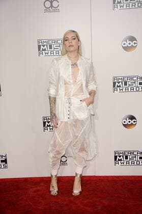 Skylar Grey AMERICAN MUSIC AWARDS: ARRIVALS Los Angeles Patrick Rideaux PicturePerfect
