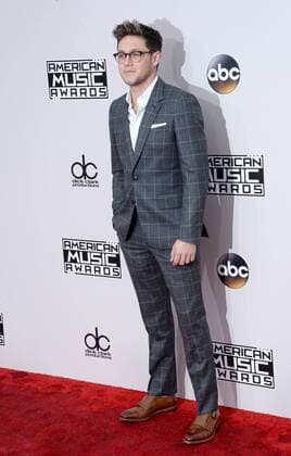 Recording artist Niall Horan arrives for the 2016 American Music Awards held at Microsoft Theater in Los Angeles on November 20, 2016.  LAP20161120430 JIMxRUYMEN