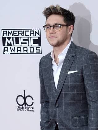 Recording artist Niall Horan arrives for the 2016 American Music Awards held at Microsoft Theater in Los Angeles on November 20, 2016.  LAP20161120431 JIMxRUYMEN