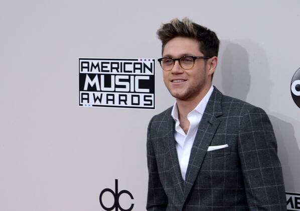 Recording artist Niall Horan arrives for the 2016 American Music Awards held at Microsoft Theater in Los Angeles on November 20, 2016.  LAP20161120432 JIMxRUYMEN