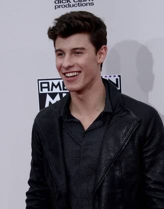 Singer Shawn Mendes arrives for the 2016 American Music Awards held at Microsoft Theater in Los Angeles on November 20, 2016.  LAP20161120450 JIMxRUYMEN