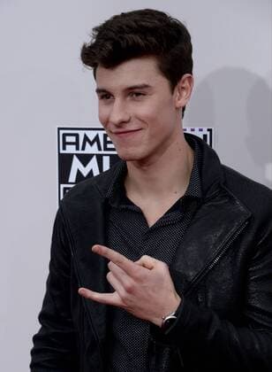 Singer Shawn Mendes arrives for the 2016 American Music Awards held at Microsoft Theater in Los Angeles on November 20, 2016.  LAP20161120451 JIMxRUYMEN