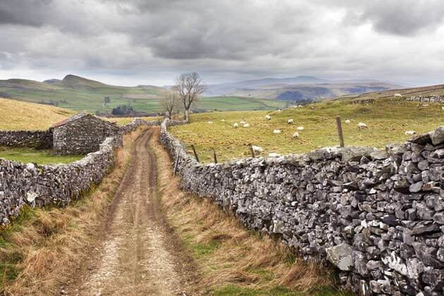 The Pennine Bridle Way near Stainforth in Ribblesdale, Yorkshire Dales, Yorkshire, England, United Kingdom, Europe Copyright: MarkxSunderland 845-951