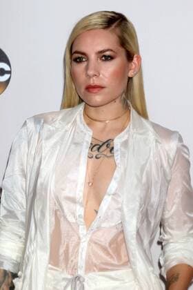 LOS ANGELES - NOV 20: Skylar Grey at the 2016 American Music Awards at Microsoft Theater on November 20, 2016 in Los Angeles, CA  Copyright: xKathyxHutchinsx xIPAx